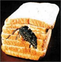 Mouse Bread