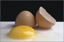 choline eggs