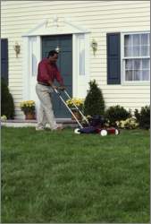 how to mow your lawn properly