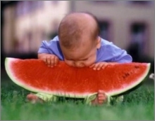 funny photo boy baby bite watermelon
