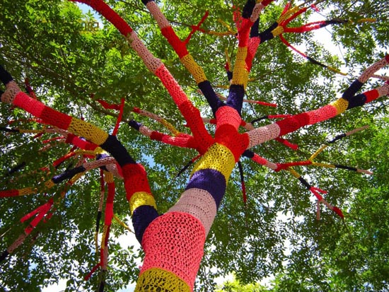 amazing photos: color tree