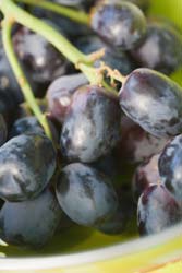grapes raisins